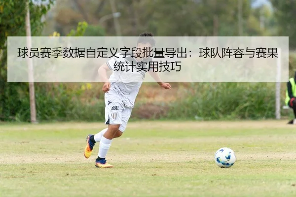 球员赛季数据自定义字段批量导出：球队阵容与赛果统计实用技巧